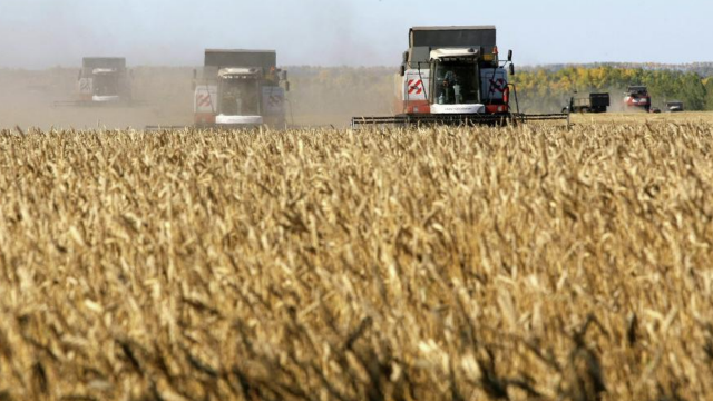 روسيا الأولى عالميا في إنتاج وتصدير القمح