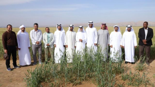 مجلس أولياء أمور الطلبة بالمنطقة الوسطى يزور مزرعة القمح