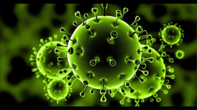 عدد الإصابات بفيروس كورونا قد يتجاوز 40 ألفا
