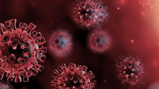 3,005 إصابات جديدة بفيروس كورونا المستجد في الإمارات
