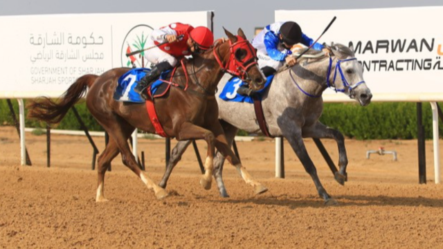 سباق كأس منصور بن زايد للخيول ينطلق بالشارقة غدا