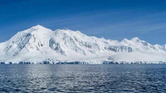 علماء يعثرون على كائنات حية تحت جليد القطب الجنوبي